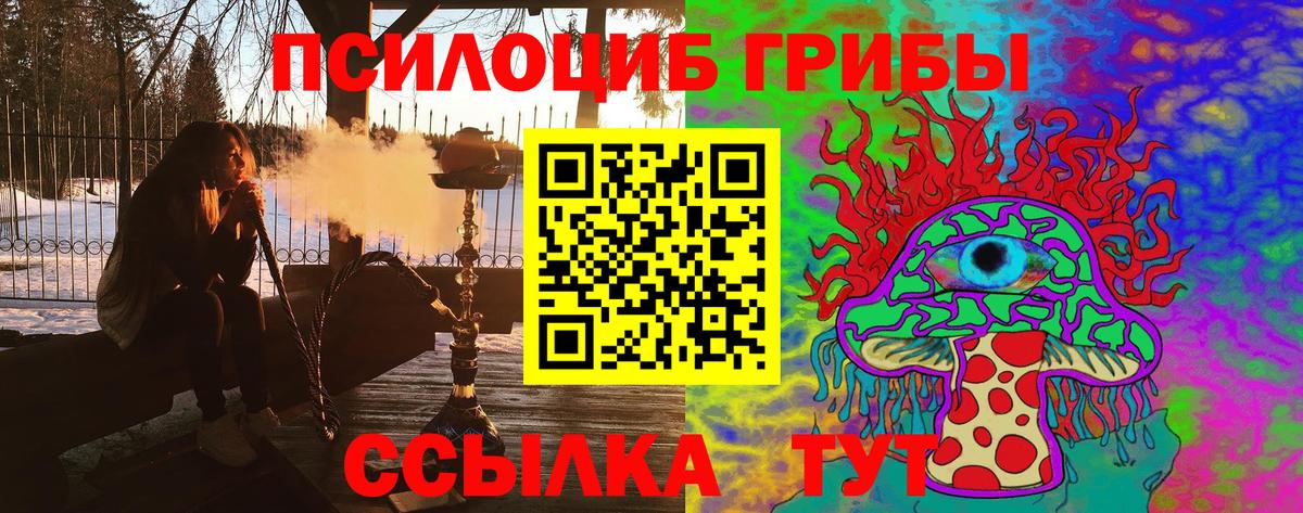 Галлюциногенные грибы мухоморы Балашов