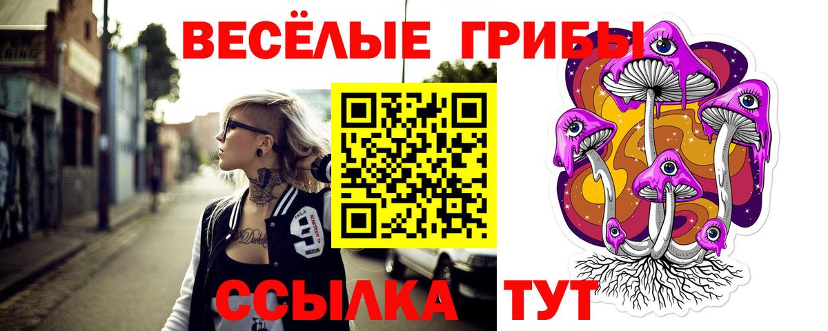 Балашов  Псилоцибиновые грибы MAGIC MUSHROOMS  сколько стоит  Вход с VPN 